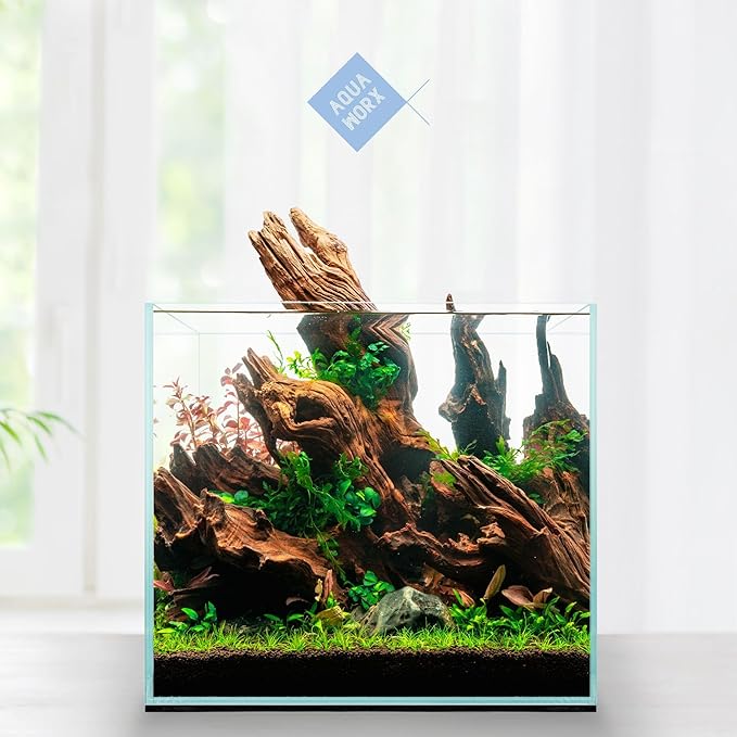 2 Gallon Clear Glass Cube Rimless Tank - Space Saving Aquarium - 7.87 x 7.87 x 7.87 inches