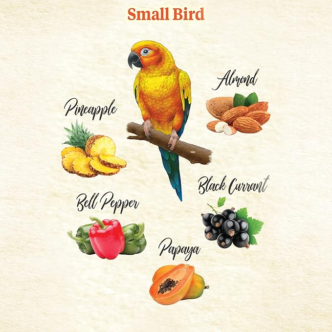 Kaytee Food From The Wild Natural Snack Food Treats For Pet Birds, 3 oz
