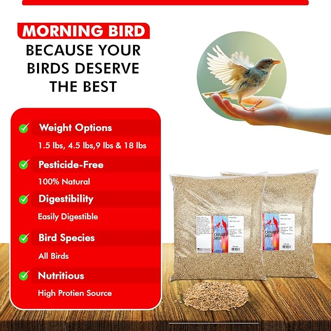 Morning Bird Canary Seed 18 lbs (2-Pack, 9 lbs Each), Nutrient-Rich Bird Seed, Creamy Golden Grain Powerhouse - Supports Healthy Feathers & Strong Bones – Natural Daily Nutrition for All Bird Types