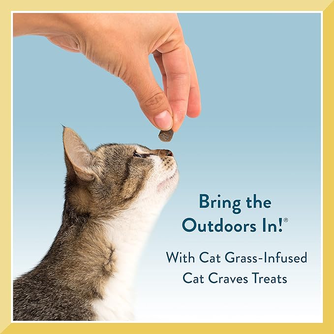 Pet Greens Treats Savory Salmon Semi-Moist Cat Treats 3 Ounce (Pack of 2)