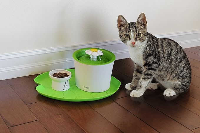 PetStandard Premium Pet Food Tray - Dog and Cat Food Mat with Green Leaf Design - Best for Catit and Drinkwell Water Pet Fountains. Fountain Not Included