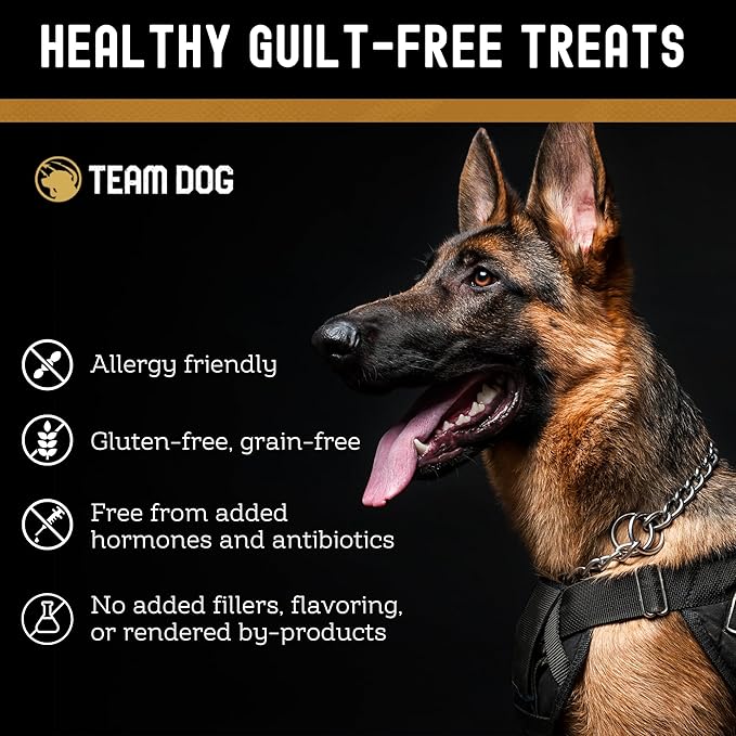 Team Dog Freeze-Dried Raw Pork Soft Dog Treats & Dog Food Topper | Grain Free Dog Treats for Training | 100% USA-Sourced Pork for Cleaner Teeth, Digestive Health & Muscle Growth | 14 oz Bulk Size