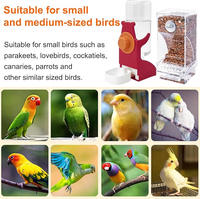 VCEPJH No Mess Bird Feeder and Water Dispenser Automatic Parrot Feeder Cage Accessories Orange Bird Drinker Parakeet Seed Dispenser with Cage Perch for Lovebirds Conures Budgies Canary Finch (Red)