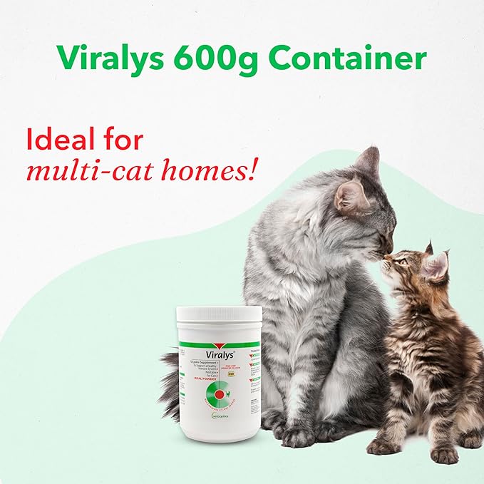 Vetoquinol Viralys - Lysine Supplement for Cats & Kittens - Supports Eye Wellness, Respiratory Health & Immune Strength - Flavored Oral Powder for Easy Feeding & Daily Use - 600 Grams