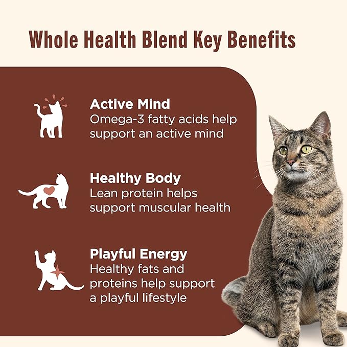 Nutrish Grain Free Wet Cat Food Chicken & Shrimp Pawttenesca Whole Health Blend with Real Shredded Chicken & Whole Shrimp in Sauce, 2.8 oz. Cup (Rachael Ray) (Pack of 12)