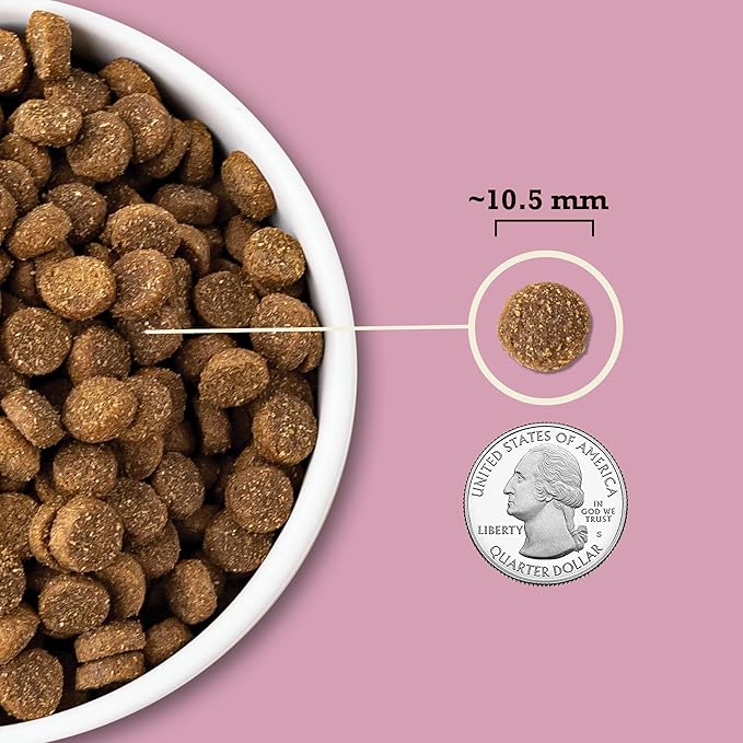 ACANA Wholesome Grains Dry Dog Food Small Breed Recipe Real Chicken Eggs and Turkey 4lb Bag