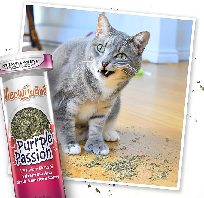 Meowijuana Purr-Effect Trio Pack | Purrple Passion, Whisker Tickler and Paw Natural OG Catnip Blends | Large Bottle High Potency Blends | Premium Hand Harvested North American Catnip