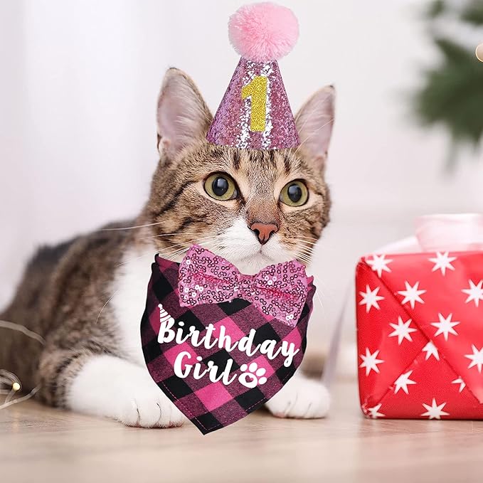 Cat Birthday Decorations, Cat Birthday Hat with Numbers Bandana Bow Tie for Cats Kittens (Pink)