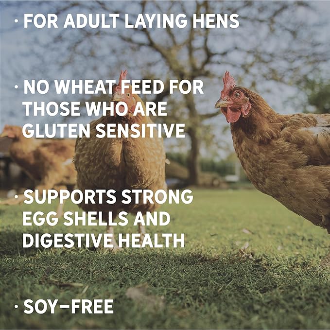 New Country Organics | Wheat-Free Chicken Feed 40lbs | Layer Feed for Laying Hens | Gluten-Free and Soy-Free | 17% Protein | Certified Organic and Non-GMO Chicken Food | 40 lbs