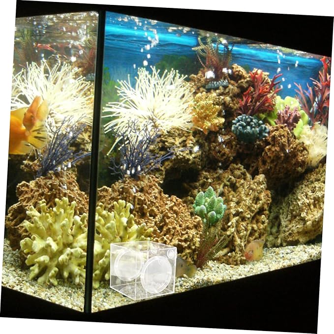 VICASKY Fish Breeding Box Acrylic Fish Tank Accessory for Safe Fry Separation Design for Aquarium Use Lightweight and Portable Isolation Container