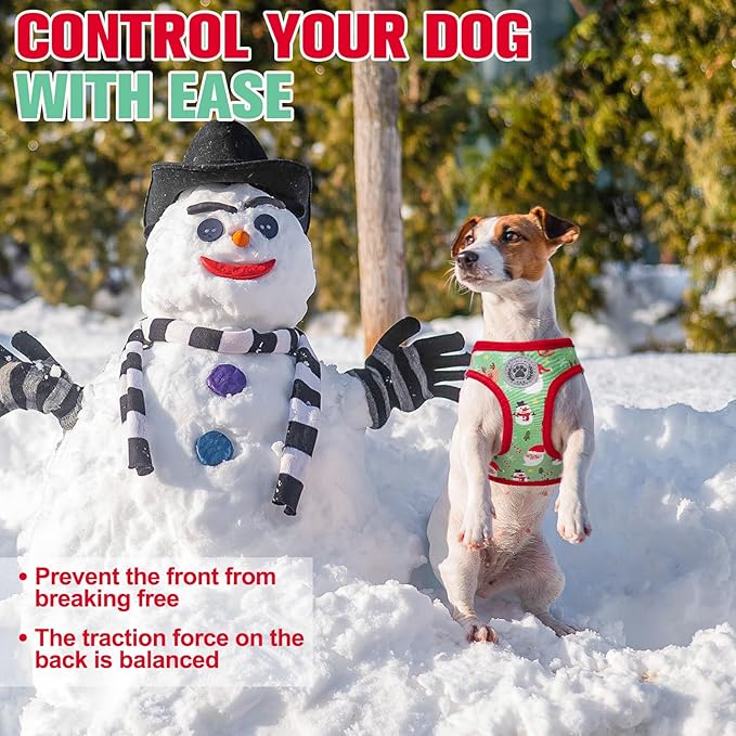 BEAUTYZOO Step in Dog Harness and Leash Set,Reflective Dog Harness No Pull No Choke Puppy Harness for Small Medium Large Dogs Cats,Soft Padded Mesh Vest Harnesses for Girl and Boy Pets,Christmas XS