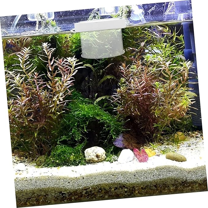 NOLITOY 2pcs Fish Tank Floating Breeding Box Acrylic Isolation Container Openable Lid Water Permeable Design for Small Fish and Shrimp for Aquatic Hatchery