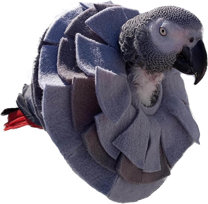 Stiff Insert Cone Bird Collar for African Grey Parrots