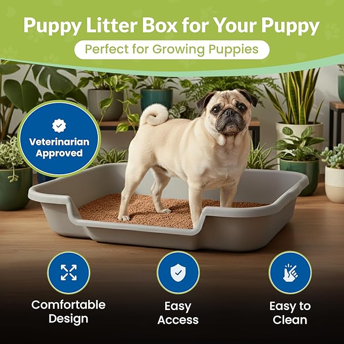 Dog Litter Box, Gray Color, Large Size, Durable & Pet Safe Puppy Litter Box, Indoor Open Top Entry Dog Litter Pan, Comfortable for Dogs, Great for Dogs up to 20 lbs (2 Pack)