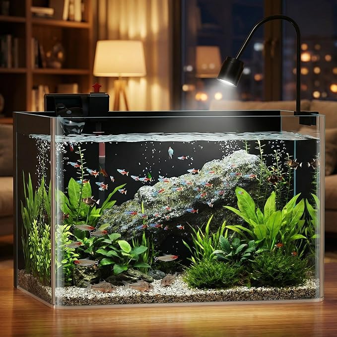 6 Gallon Hot-Bent Black-Back Fish Tank, Aquarium Fish Tank,Easy to Maintain Small Aquarium for Betta/Goldfish/Snails/Shrimp and Aquatic Planting, Perfect for Home, Office, and Decor