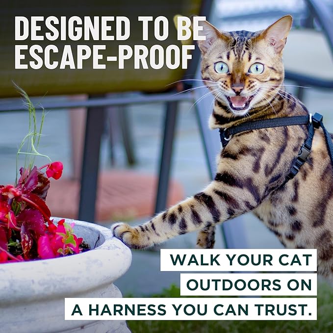 Houdini™ Escape Proof Cat Harness and Leash Set by OutdoorBengal – Tactical Vest for Walking – Extra Large, Adjustable, Long - Houdini Cat Harness Escape Proof for Large Cats + Leash (Multicolor, XL)
