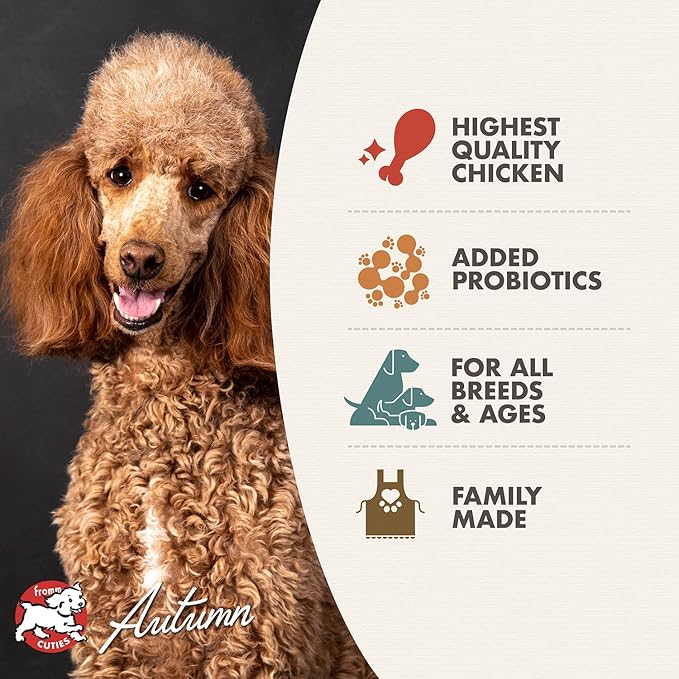 Fromm Four-Star Nutritionals Chicken au Frommage Dog Food - Premium Dry Dog Food - Chicken Recipe - 4 lb