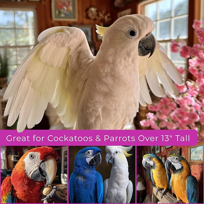 Tropical Carnival Brown’s Gourmet Large Hookbill Food & Fruit & Nut Parrot Treat Bundle – Vitamin-Fortified Daily Diet & Reward Mix for Parrots, Cockatoos & Large Hookbills Over 13in Tall – 10 lb + 1