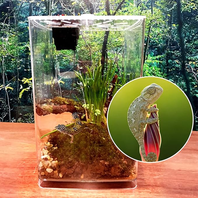 Reptile Terrarium Aquarium Breeding Tank, Transparent Acrylic Breeding Box Creative Desktop Reptile Box Spider Scorpion Pet Hatching Breeding Box Habitat Terrariums Habitat Box with LED Night Light