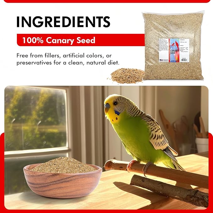 Morning Bird Canary Seed 9 lbs, Nutrient-Rich Bird Seed, Creamy Golden Grain Powerhouse - Supports Healthy Feathers & Strong Bones – Natural Daily Nutrition for All Bird Types