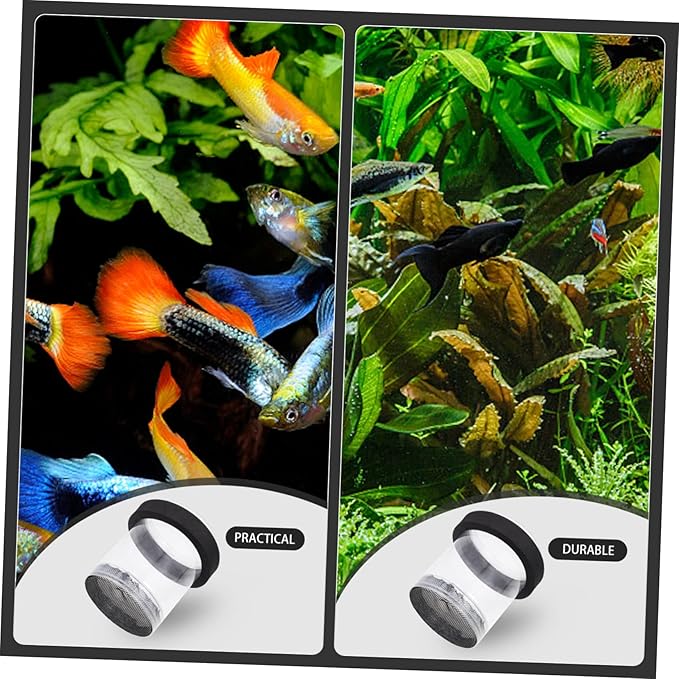 Guppy Breeder Box Aquarium Isolation Fish Hatchery Tank with Transparent Cover for Newborn Fry Protection and Pregnant Guppy Separation