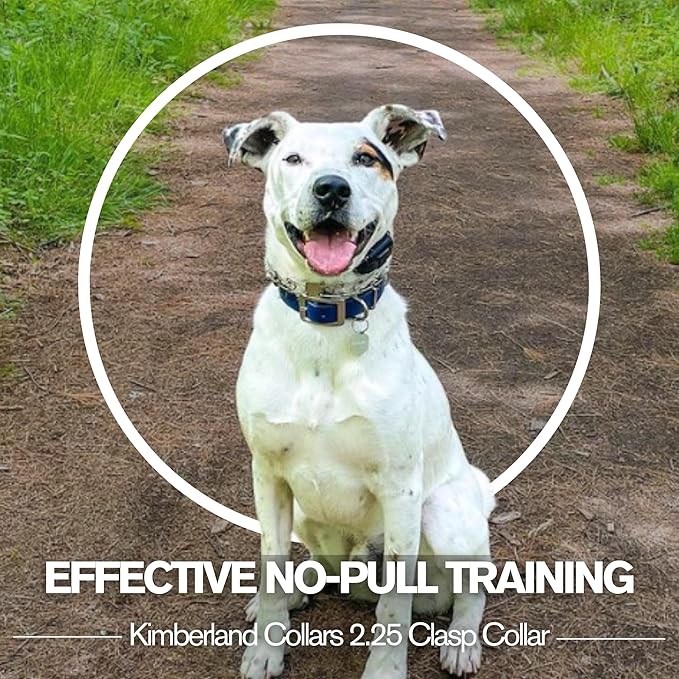 Clasp 2.25mm Stainless Dog Training Collar for Large Breeds | 16” Prong Collar for Dogs 26lbs & Up | No-Pull Collar | Behavior Aid | Royal Blue