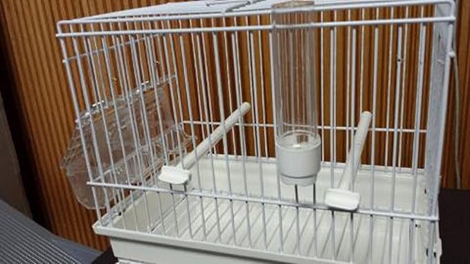 I064Z Chrome and White Song Bird CAGE