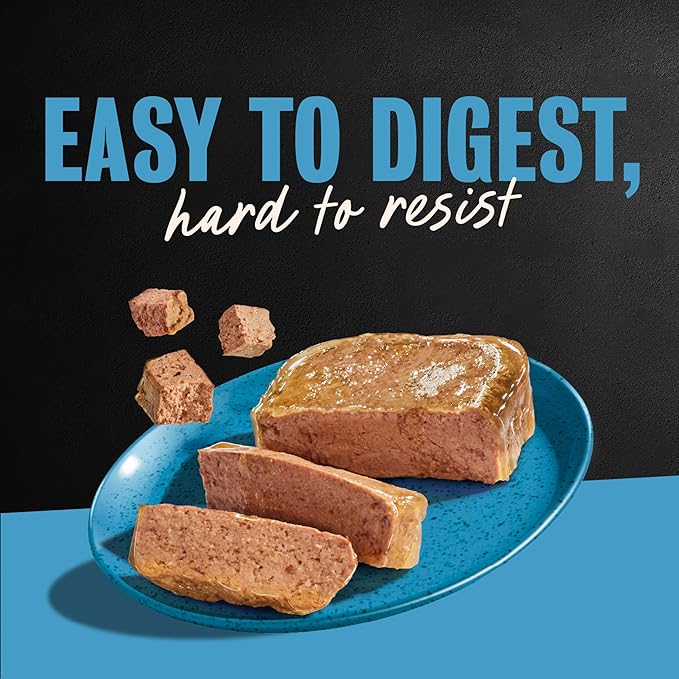 Cesar Classic Loaf in Sauce Adult Wet Dog Food Lamb Recipe, 3.5 oz. Easy Peel Trays, 24 Count (Pack of 1)