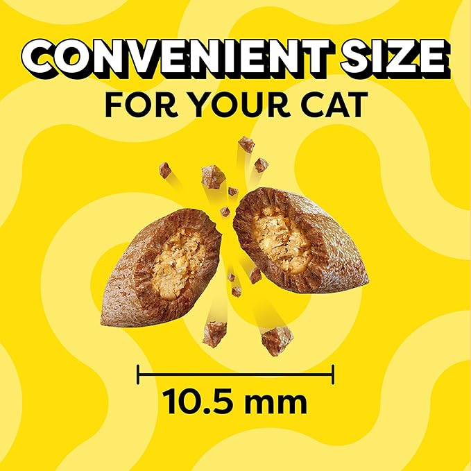 Temptations Cat Treats Classic Crunchy and Soft Cat Treats, Savory Salmon Flavor, 6.3 oz. Pouch (Pack of 10)