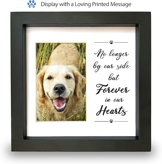 Dog Memorial Picture Frame with 5 Display Options- Dog Collar Memorial Frame Gift - Cat or Dog Pet Loss Gift for a Grieving Friend - Pet Remembrance Gift and Sympathy Photo Keepsake