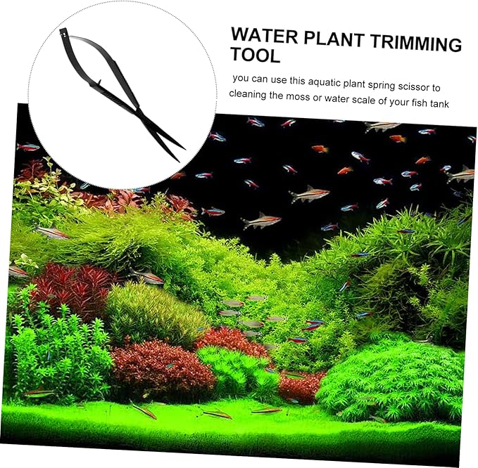 Mipcase 2pcs Home Terrarium Scissors Aquatic Plant Trimmer for Aquariums Resistant Spring Scissors for Easy Plant Maintenance for Tanks