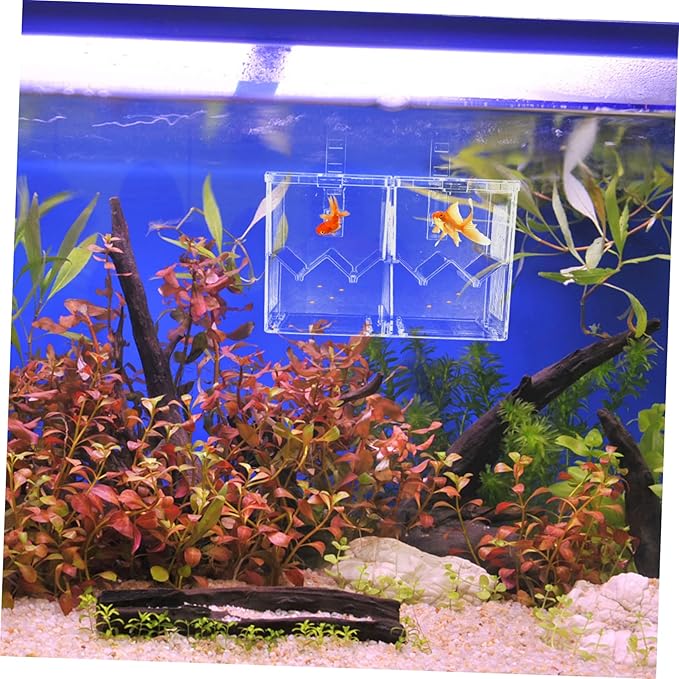 FRCOLOR 1pc Juvenile Fish Breeding Box Dual Isolation Tank Lightweight Plastic Aquarium Breeder High Transparency for Safe Fish Hatching and Separation