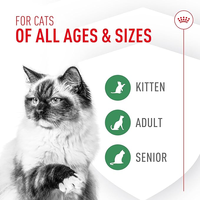 Royal Canin Probiotics for Cats Digestive and Immune Health Powder Supplement for Cats of All Ages, 30 Count (Pack of 3)