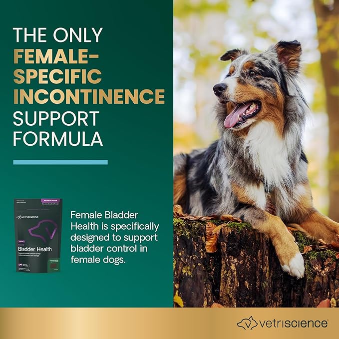 VETRISCIENCE Bladder Health Chews, Vetri Bladder Supplement for Dogs, Incontinence Support, Reduce Urine Leakage and Overactive, Soy Protein and Red Clover, Chicken, 60 Count (Pack of 12)