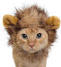 Pet Krewe Lion Mane Halloween Costume for Large and Small Dogs - Ideal for Halloween, Birthday, Cosplay, Outfits, Pet Clothes (Cat Small)