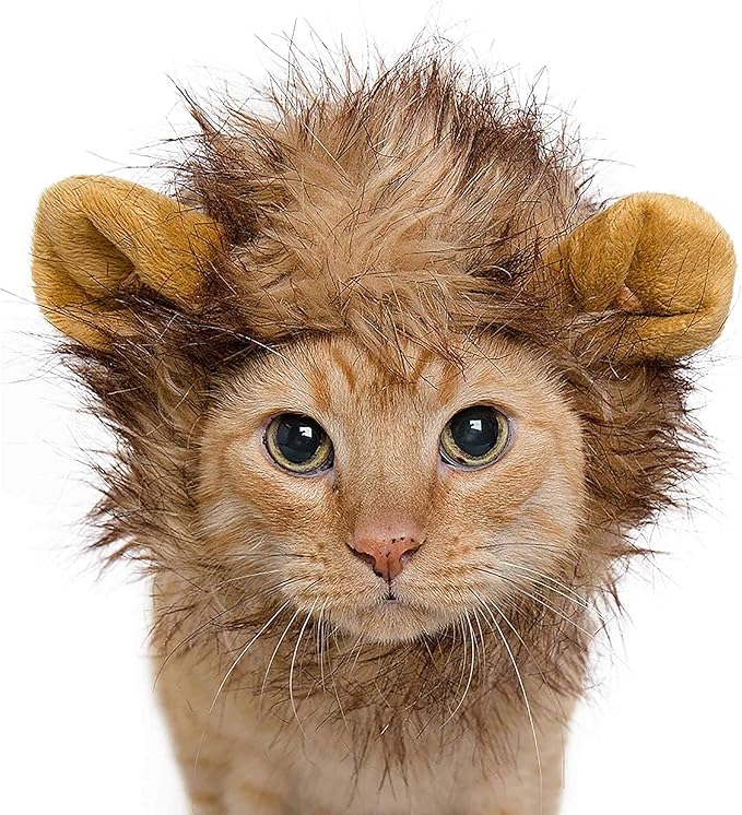 Pet Krewe Lion Mane Halloween Costume for Large and Small Dogs - Ideal for Halloween, Birthday, Cosplay, Outfits, Pet Clothes (Cat Small)