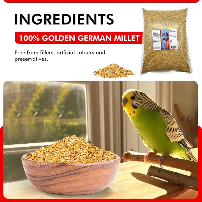 Morning Bird Golden German Millet 9 lbs – Natural Millet Seed for Birds – Natural Protein & Fiber Source – Easy-to-Digest Daily Nutrition for All Bird Types