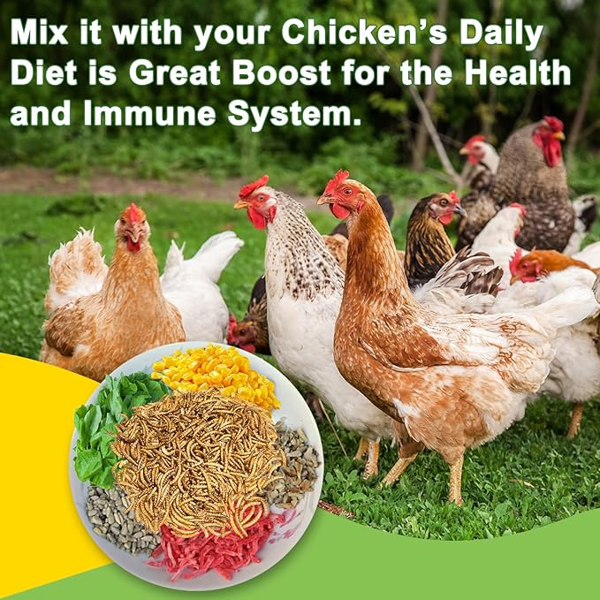 500g Dried Mealworms Treat for Chicken, 100% Natural Non-GMO High Protein Organic Chicken Feed for Birds, Ducks, Layer Hens