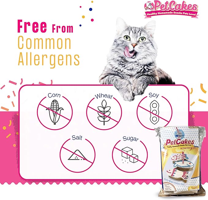 PetCakes Cat Birthday Cake Kit - All Natural Treats - Kitten & Cats Turkey Flavor Cat Food - 5.5 Oz