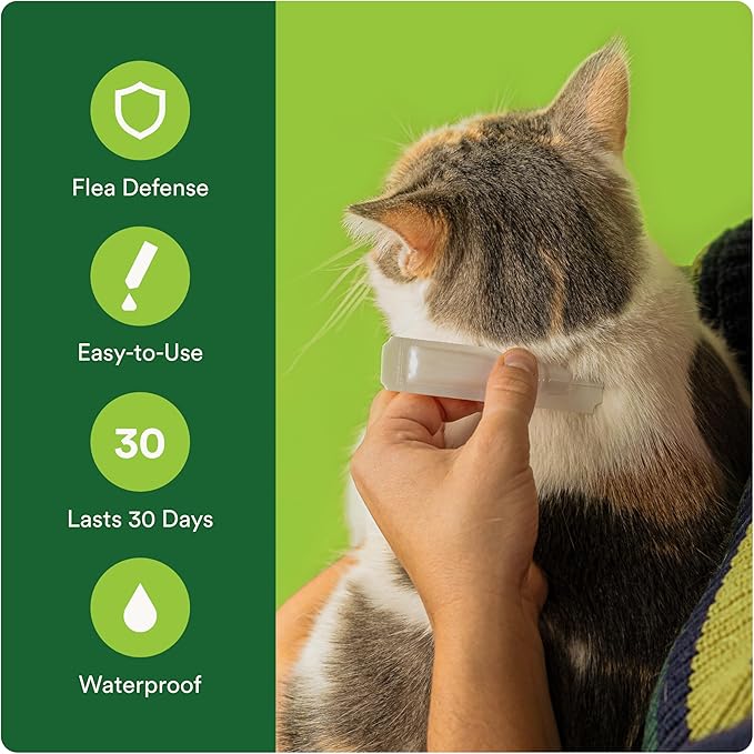 Advecta Plus Topical Flea Treatment for Cats and Kittens, Flea Prevention and Control, Small & Large, Fast-Acting Waterproof Drops, 4-Month Supply