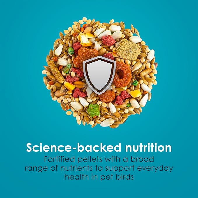 Kaytee Forti-Diet Pro Health+Safflower Nourish+Protect Cockatiel Food, Supports Breeding and Molting, Nutrition Backed by Science, Digestive and Brain Health, 4 pounds