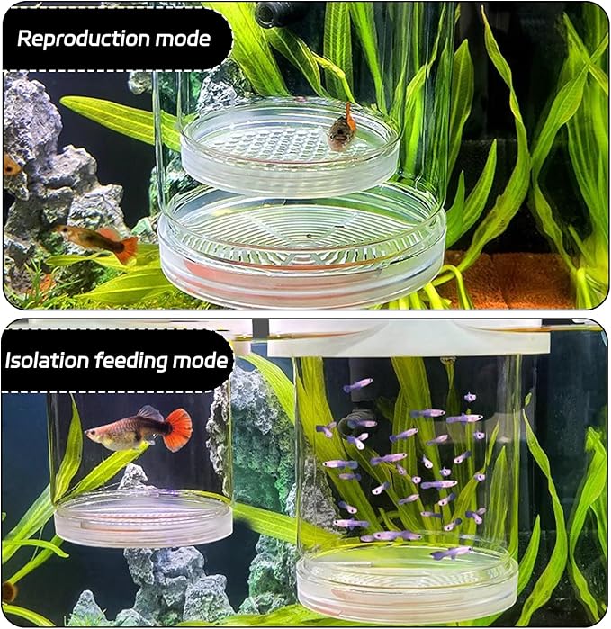 2 Pcs Breeder Box For Fish Tank,Fish Isolation Tank,Separator,Fish Breeder Box For Aquarium,Guppy Breeder Box,Baby Fish Tank For Shrimp Betta Clownfish Guppy