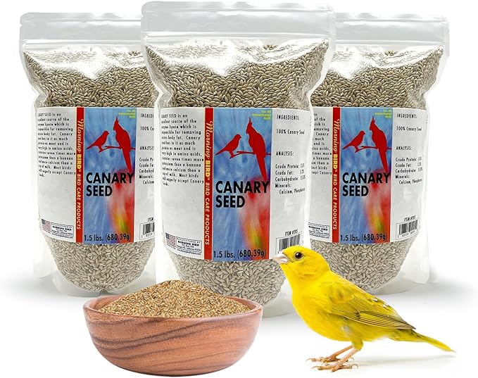 Morning Bird Canary Seed 4.5 lbs (3-Pack, 1.5 lbs Each), Nutrient-Rich Bird Seed, Creamy Golden Grain Powerhouse - Supports Healthy Feathers & Strong Bones – Natural Daily Nutrition for All Bird Types