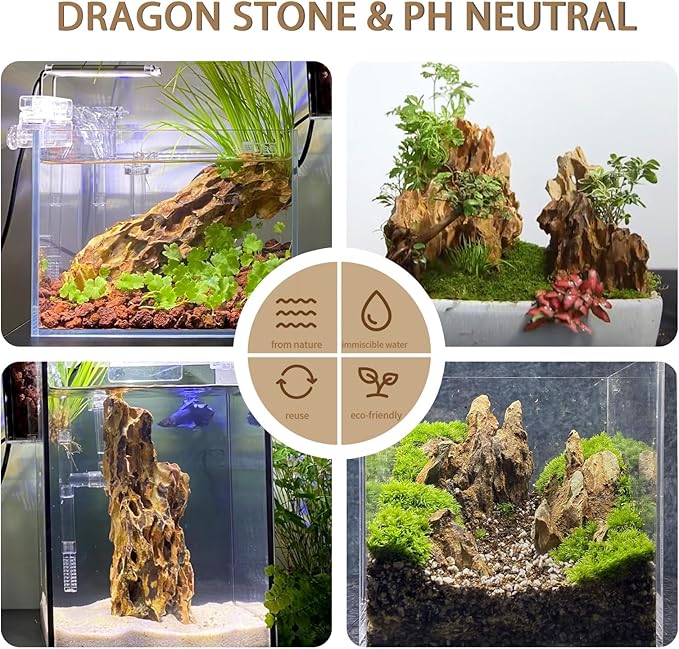 Dragon Rocks Aquariums Stones Natural Rocks for Aquascaping, Aquariums, Terrariums, Vivariums Decorative Stone,Reptile Enclosures,Paludariums,and Gardens-10lb（2 to 7 inch）
