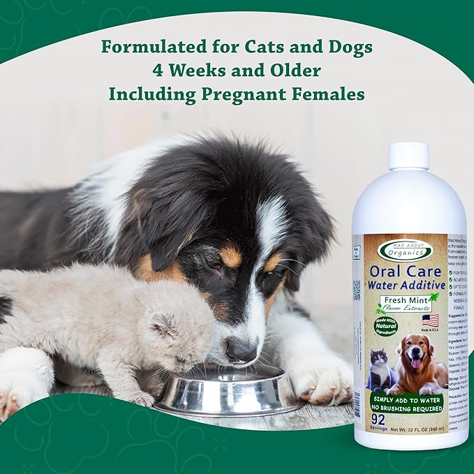 Oral Care Water Additive for Cats & Dogs – Gentle Dental Support – Reduces Breath Odors, Promotes Gum Health – No Brushing – Convenient for Daily Use, Fresh Mint Flavor, 32 FL oz