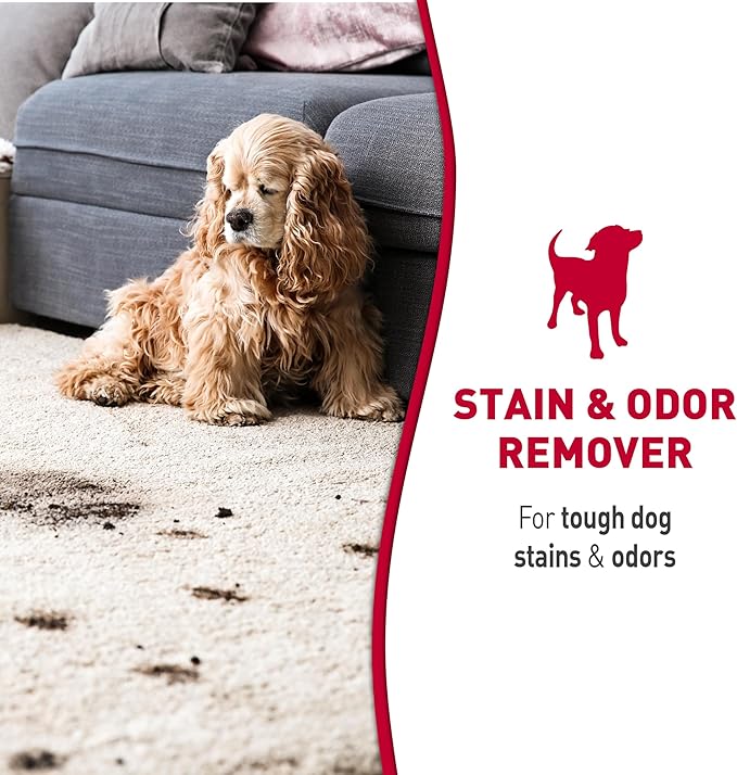 Nature's Miracle Stain & Odor Remover Foaming Aerosol For Dogs, 17.5 Oz (P-68340)