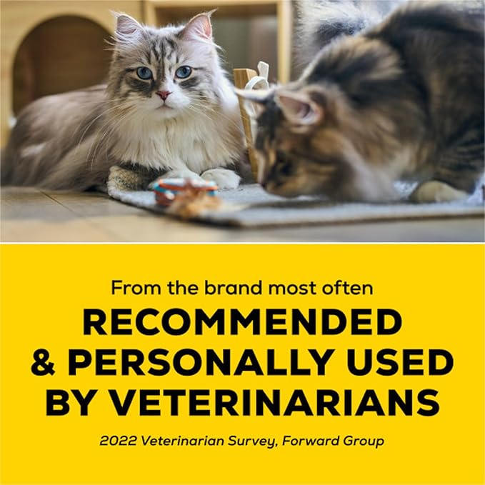 Purina Tidy Cats Performance Plus Tidy Feet Low Tracking Scented Clumping Multi Cat Litter with Clean Linen Scent - 22 lb. Box