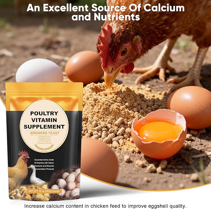 Chicken Vitamins and Supplements Brewer's Yeast Probiotics Niacin Vitamins Supplement for Chickens Ducks, Brewers Yeast Powder for Poultry, Molt Recovery, Severe Stress