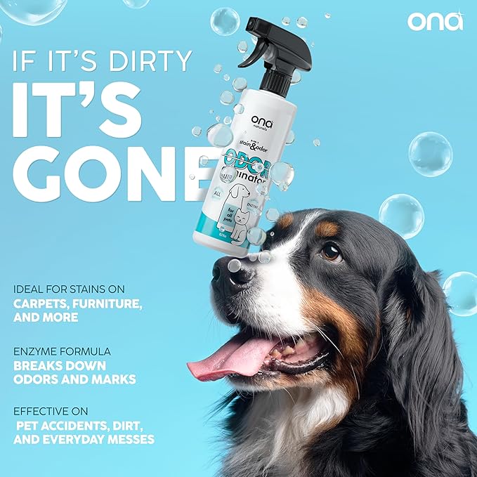 ONA Pet Stain & Odor Eliminator Enzyme Cleaner Spray - Dog & Cat Urine Remover & Deodorizer for Home, Carpet, Furniture & Hardwood Floor - Professional Strength Pet Urine Stain Remover (16oz)