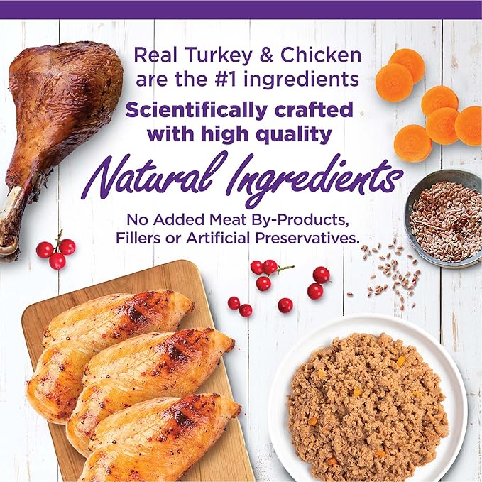 Wellness Complete Health Pate Adult Wet Cat Food, Natural, Protein-Rich, Grain-Free, 5.5 Ounce , 12 Pack, (Chicken & Turkey Favorites Variety Pack)